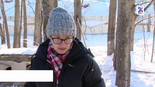 У парка «За Саймой» демонтировали стихийный приют для собак смотреть онлайн