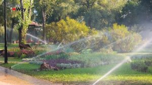 Что Лучше Капельный Полив или Дождевание и Туман?