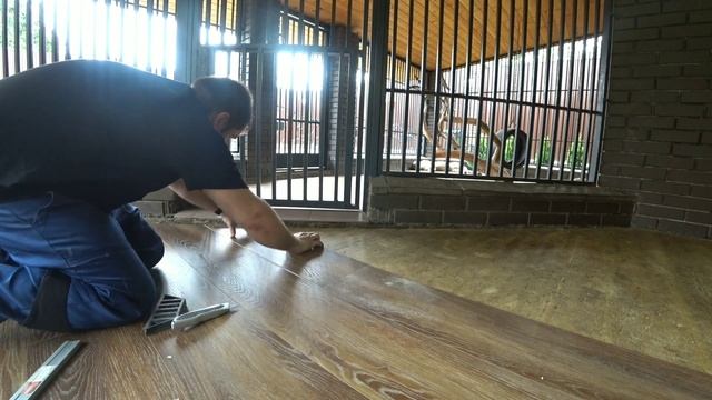 Кварцвиниловая плитка VINILAM ГИБРИД + ПРОБКА. (Укладка пвх в клетке с тигром) смотреть онлайн