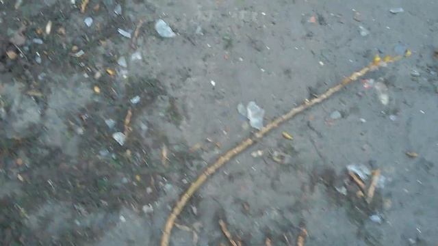 Ростов-на-Дону на утро после шторма. 29.03.2015 г. смотреть онлайн