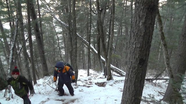 Пешка Приморский Великан 2019 смотреть онлайн