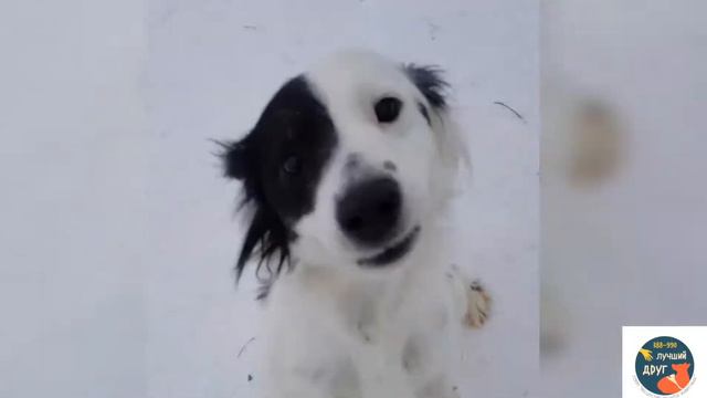 Зюзя и Пузя на прогулке смотреть онлайн