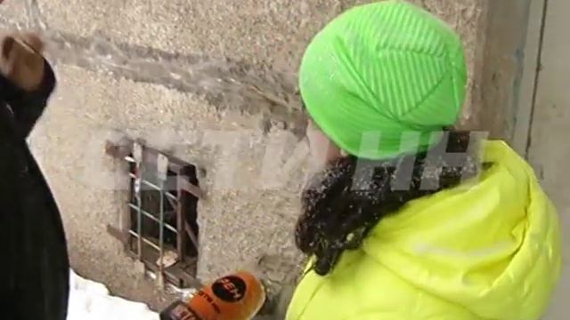 Подвальные жители лишили покоя дом на улице Премудрова.