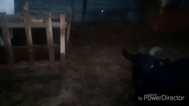 Содержание коз в зиму! смотреть онлайн