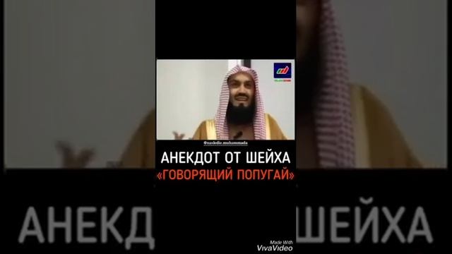 Анекдот от шейха***Говорящий попугай*** смотреть онлайн