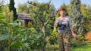 Прогулка по саду | Обзор растений  ч.2