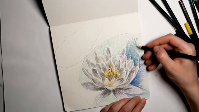 Рисуем лилию на воде цветными карандашами. Несложный способ рисования цветными карандашами. Скетч смотреть онлайн