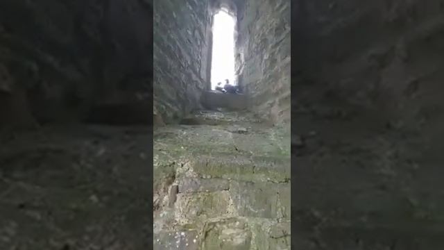 Поездка в Гластонбери с Валей смотреть онлайн