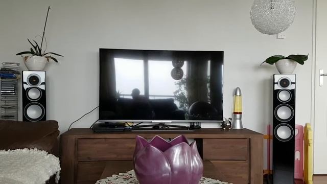 Monitor Audio Silver 8 playing Armin смотреть онлайн