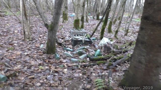 Искал в лесу клад, а встретил самого маленького хищника на Земле смотреть онлайн