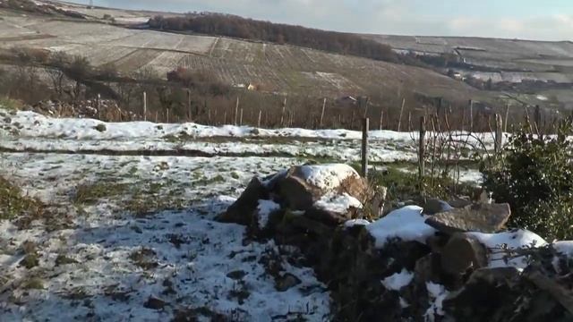 A real test of Panasonic AG-AC90 (clip) смотреть онлайн