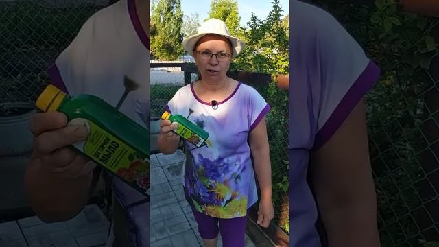 Есть простое средство от галовой тли и муравьев. смотреть онлайн