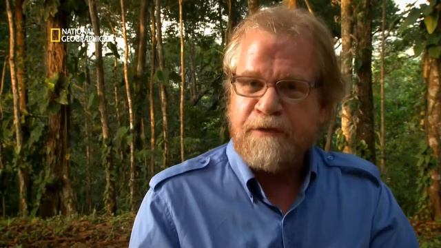 Самые удивительные фотографии National Geographic: Насекомые-опылители HD 1080 смотреть онлайн