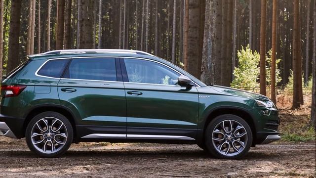 2019 Skoda Karoq Scout
