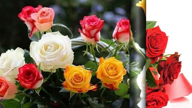 С ДНЕМ РОЖДЕНИЯ МУЗЫКАЛЬНАЯ ОТКРЫТКА ПОЗДРАВЛЕНИЕ смотреть онлайн