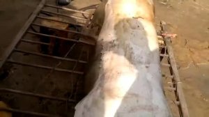 Чистка туши кабана/свиньи/необычным способом.