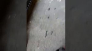 Как выбрать автомобильные пружины?Ставим усиленные пружины на ВАЗ 2115,2114,2113,2199,2109,2108