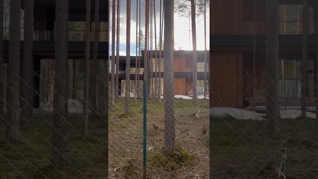 Отзыв нашего партнера по поставке планкен скошенного из Меранти смотреть онлайн