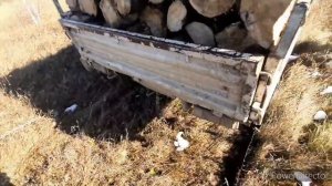 Заготовка дров на Mazda Bongo! Засадили ГРУЗИКА!!!