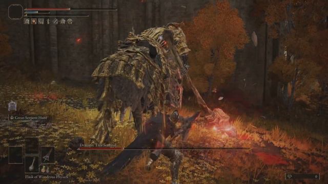 Speedrun Practice - Draconic Tree Sentinel Elden Ring смотреть онлайн