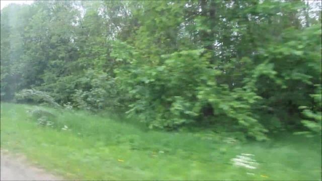 Автобус 446 "Ж/д ст. "Красное Село" - пос. Хвойный" (смена перевозчика) смотреть онлайн