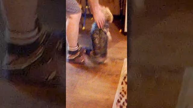 Увидел себя в зеркало смотреть онлайн