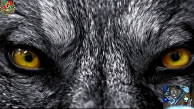 Якутские национальные блюда смотреть онлайн