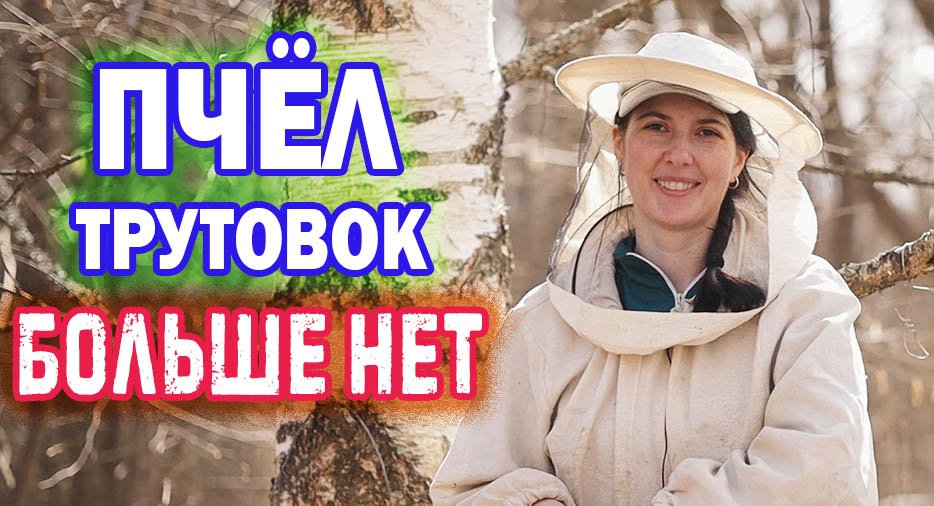 СДЕЛАЛИ НАЛЁТ НА МАТКУ! ЧТО ОПЯТЬ С ПЧЁЛАМИ ГДЕ СЕМЬЯ-ТРУТОВКА