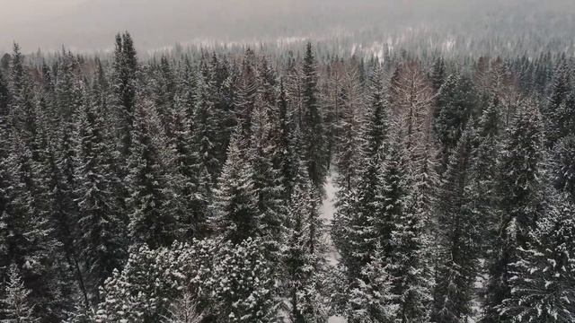 "Лишь тот, кто ждёт — оценит встречу" Эль Твит смотреть онлайн