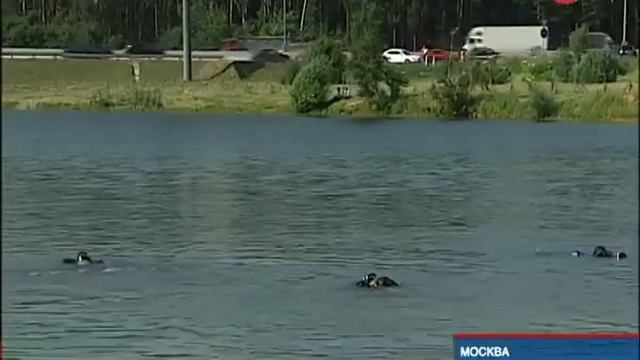 Очистка Тропаревского пруда. Июль 2011 года смотреть онлайн