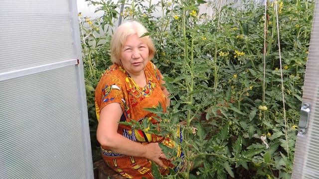 ЧТО СЛУЧИЛОСЬ С АФРОЧЕРРИ? Обзор смотреть онлайн