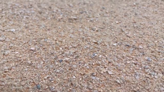 Sand Mat / Exo Terra. Обзор покрытия в террариум для эублефара смотреть онлайн