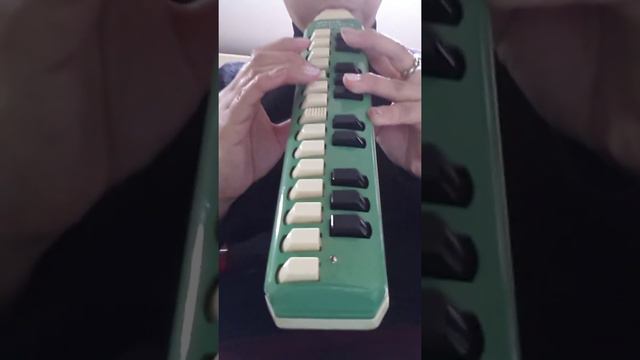 Hohner melodica sopranoで「The Entertainer」 смотреть онлайн