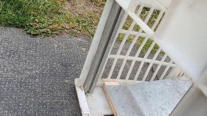 Как поймать ласку или хорька на голубятне