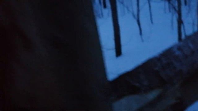 кулемка на соболя куницу смотреть онлайн