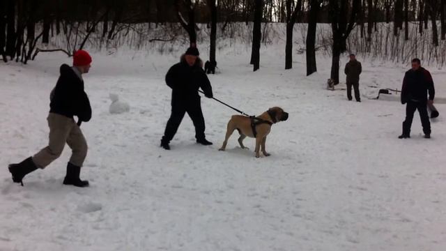 Carlos TRB. Зона охраны, двое нападающих. смотреть онлайн