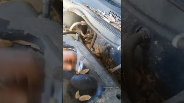 2000 Honda Odyssey steering rack removal #2 смотреть онлайн