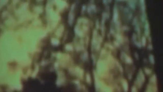 SZEMZŐ - FORGÁCH: THE MESSAGE, DR KAFKA'S LAST LOVE, THE FODDERBASIS смотреть онлайн