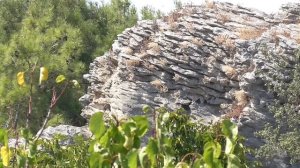 Турция2020. Кириш отель Гранд Мирамор GRAND MIR'AMOR 4*. Территория, бассейны, ресторан