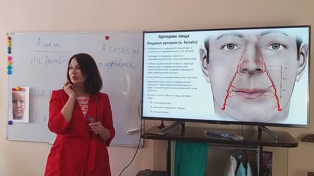 ОПАСНЫЕ ЗОНЫ (фрагмент семинара)