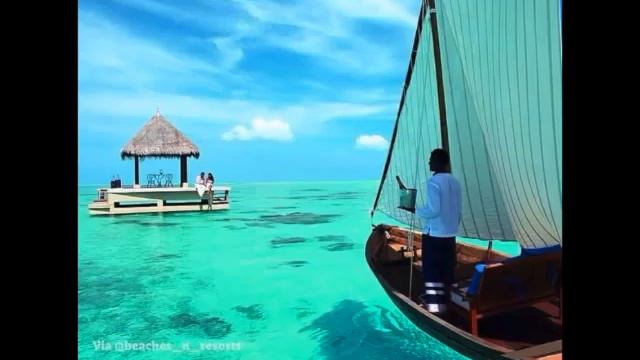 Luxurious Taj Exotica Resort and Spa смотреть онлайн