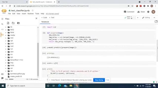 How to use the keras load model function to make a binary class prediction. Then get a percentage. смотреть онлайн