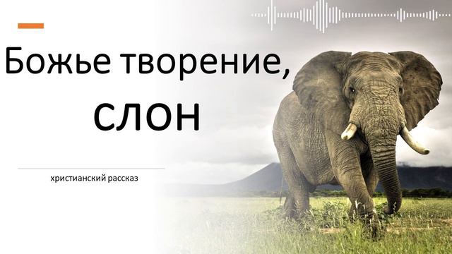 Божье творение, слон - Христианский рассказ смотреть онлайн