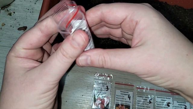 ЖАЛЕЮ, что РАНЬШЕ ТАК НЕ САЖАЛА СЕМЕНА! Теперь сею ТОМАТЫ ТОЛЬКО ТАК! Потрясающий результат смотреть онлайн