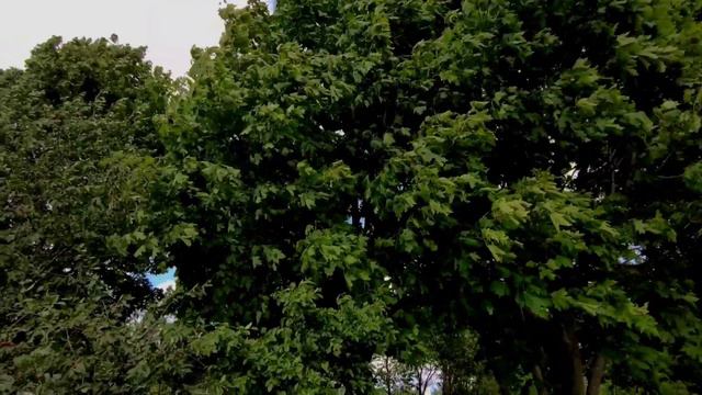 3 мин на изменение погоды