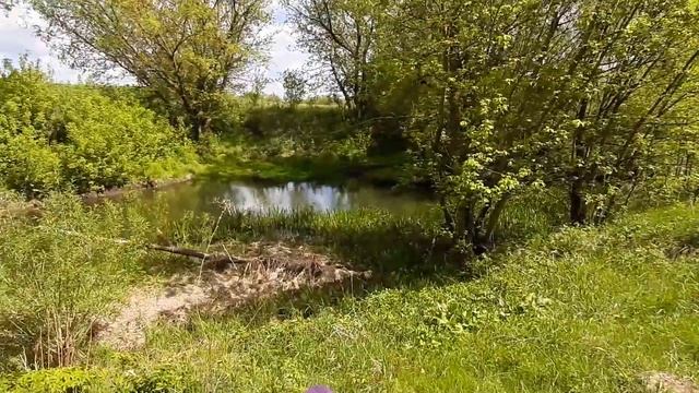 Находки где был брод через реку//Поиск с Эквинокс 800 смотреть онлайн