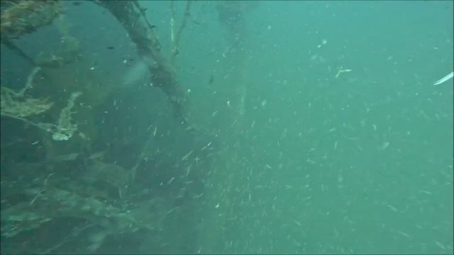 Chasse sous-marine aux Benin 2024 смотреть онлайн