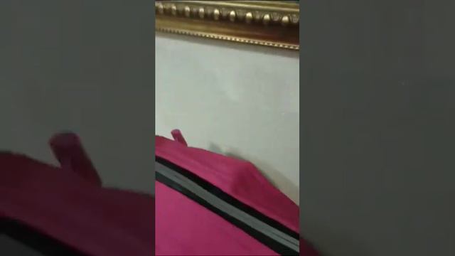 Зимний комбинезон для собак смотреть онлайн