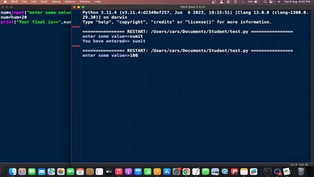Python Input Function: User Interaction and Dynamic Programming ?? смотреть онлайн