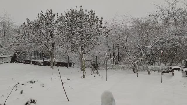 Осень 2023. Снежный октябрь на проекте Суворова накануне ноябрьского потепления. 30102023.